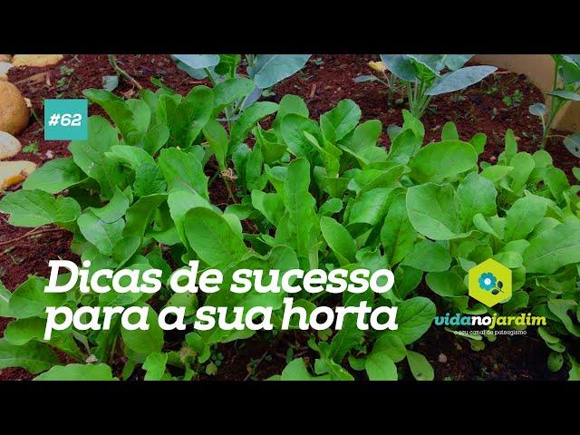 Dicas de sucesso para ter uma horta na sua CASA