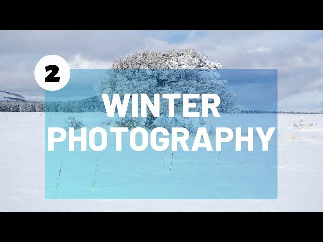 Photographing INTIMATE Nature Scenes / Winter Landscape Photography