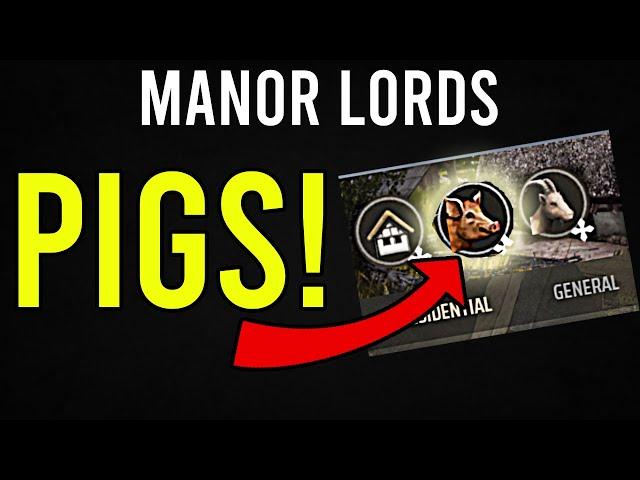 Manor Lords - Pigs are Finally In