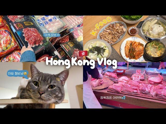 홍콩Vlog | 몸은 홍콩에 있지만 한식에 미치도록 진심인 한국인(한식🫶) 홍콩의 재래시장, 맛도리 김치어묵우동 레시피, 일식카레맛집, 마트 장보기, 집밥일상