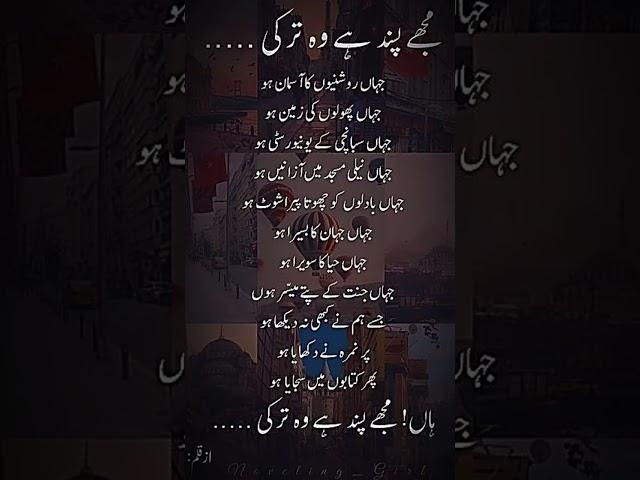 𝑰 𝒍𝒐𝒗𝒆 𝒕𝒖𝒓𝒌𝒆𝒚  #youtubshorts #urdupoetry #viralvideo#antsforever.