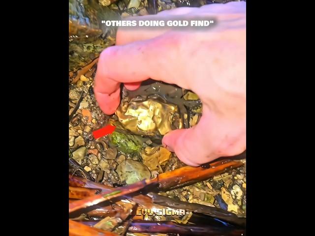 The Last Gold Find 