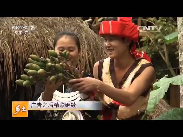 20160426 乡土  三月三的别样风情