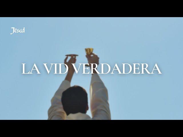 La Vid Verdadera (Juan 15, 1 - 15) - Jésed