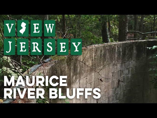 View Jersey - Maurice River Bluffs