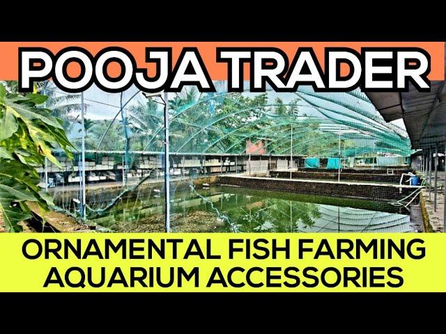 POOJA TRADER | ORNAMENTAL FISH FARMING | AQUARIUM ACCESSORIES | FISH FARMING