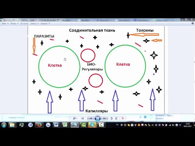 САД ACLON Механизм работы флуревитов Шамиль Низаметдинов-лидер ACLON