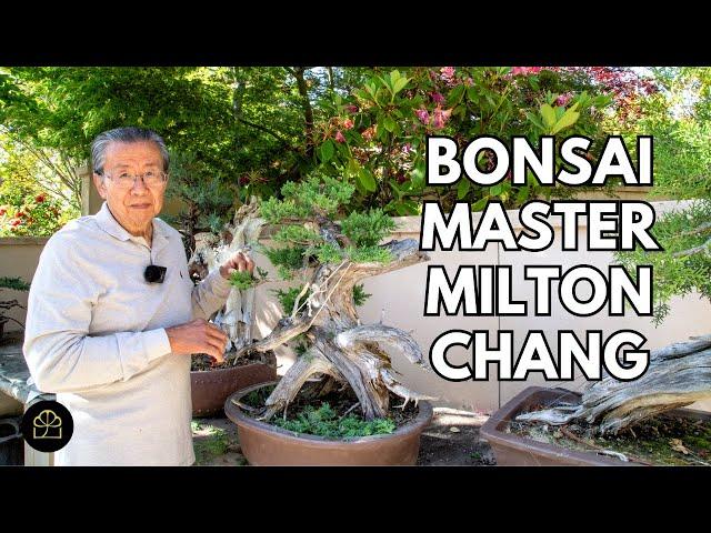 Bonsai Master Showing 50 Years of Bonsai Work | Bonsai Heirloom