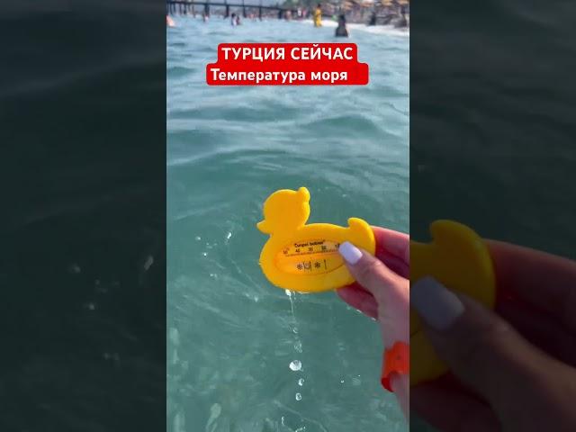 Турция 2025. Температура моря в Кемере Сейчас ️