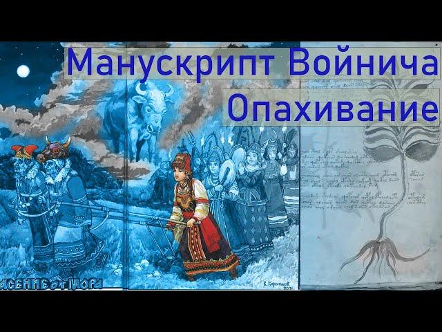 Манускрипт Войнича разгадан! Найден скрытый обряд опахивания от демонов.  ТАЙНА ЖЕНСКОЙ ЛОГИКИ.