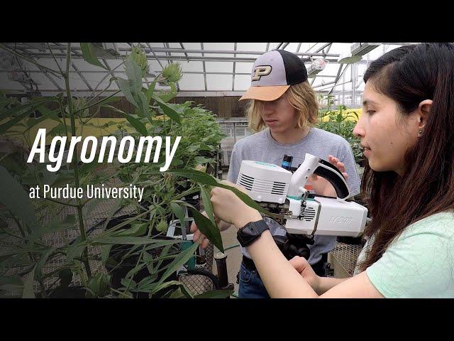 Agronomy: Explore the Possibilities in Purdue Agriculture