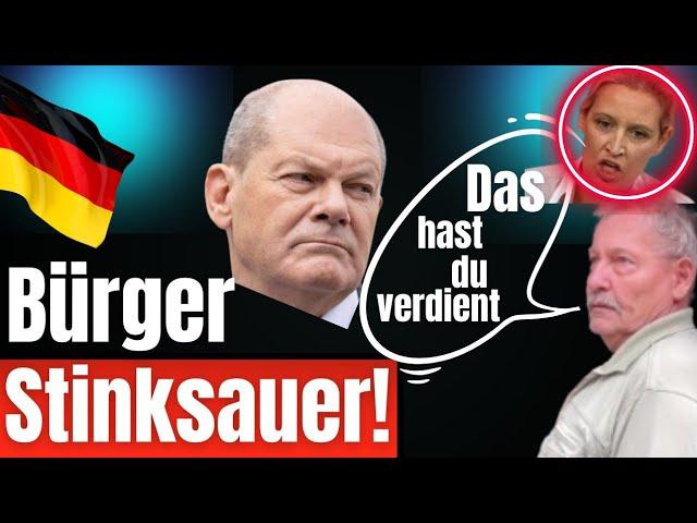 Heftig️Afd wächst, Olaf Scholz angezeigt und Bürger sagen selber Schuld️