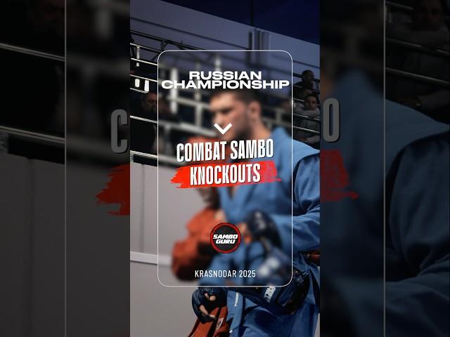 Rarest Knockout in parterre in combat Sambo