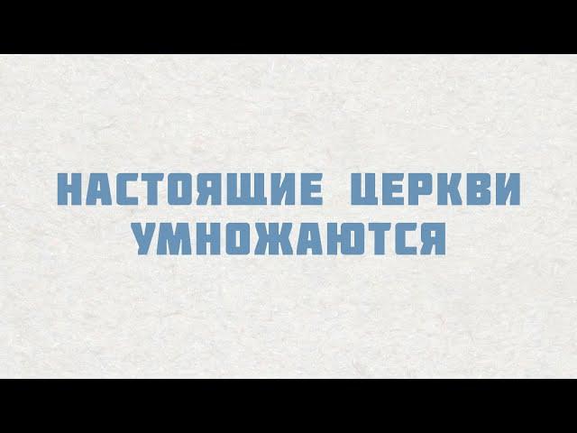 PT515 Rus 11. Настоящие церкви умножаются. Умножение начинается со смерти.