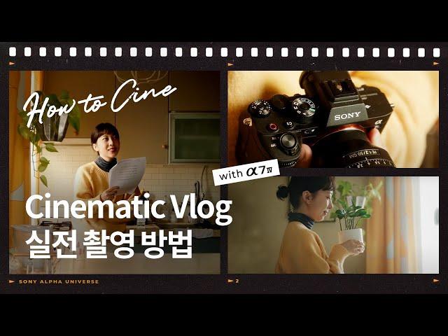 Cinematic Vlog 실전 촬영 방법! │ α7 IV │ How to Cine with 감송필름