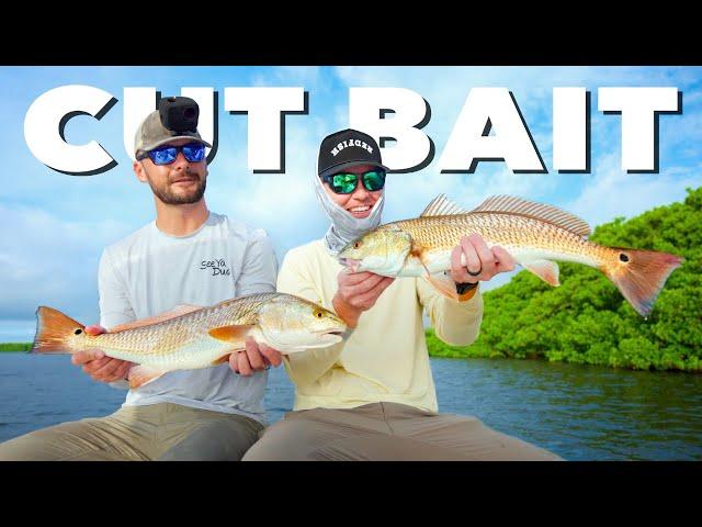 3 Days Chasing Redfish Only Using Cut Bait