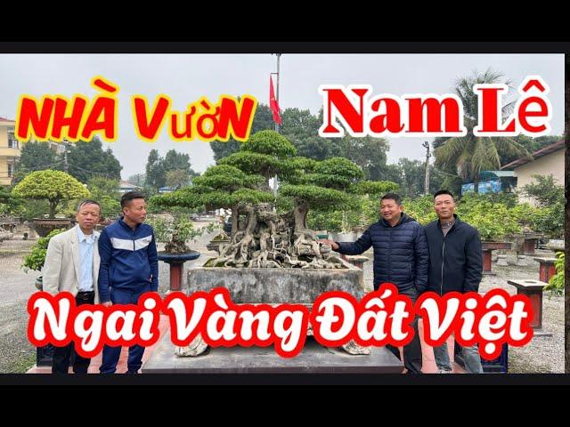 Nhà Vườn Nam Lê Ngai Vàng Đất Việt "Ngót Nửa Triệu Đô" | Bonsai TV - PT