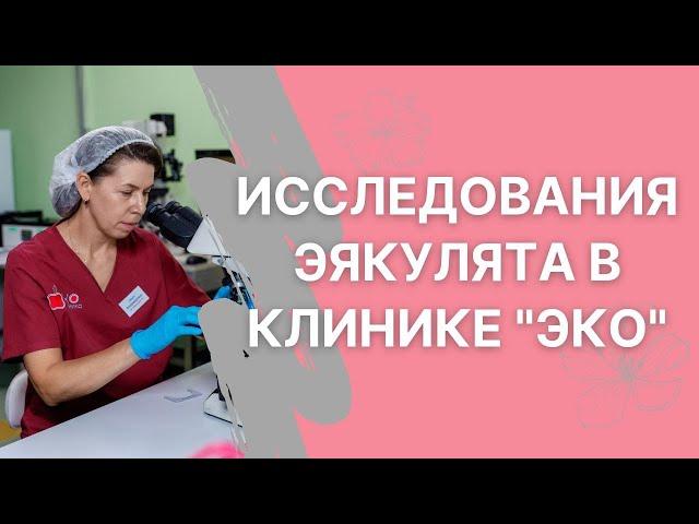 Виды исследований эякулята в клинике "ЭКО"