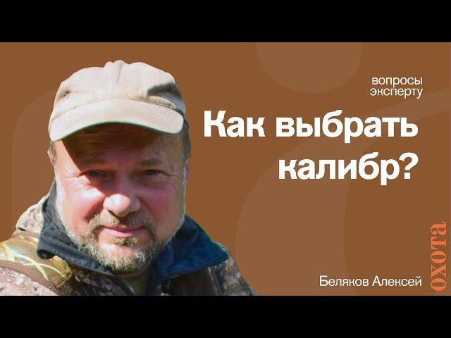 О калибрах. Алексей Беляков о том, на кого с чем охотиться?