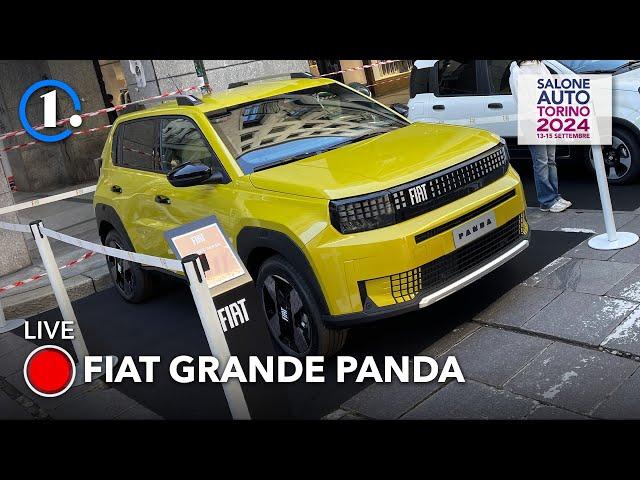 Fiat Grande Panda dal vivo: COSA PENSANO LE PERSONE?