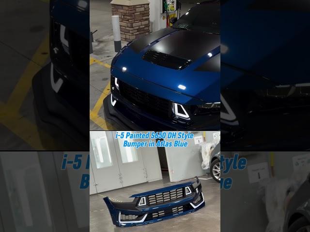 Check out this beast equipment with our DH style bumper painted in Atlas Blue#fordmustang