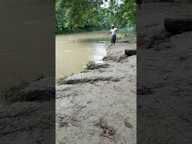 catching fish #shorts #shortsvideo #shortvideo #catchfish #catchingfish