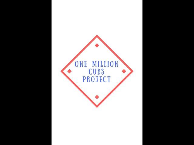 Hobby Evolution Episode 437 - Quirks of the One Million Cubs Project