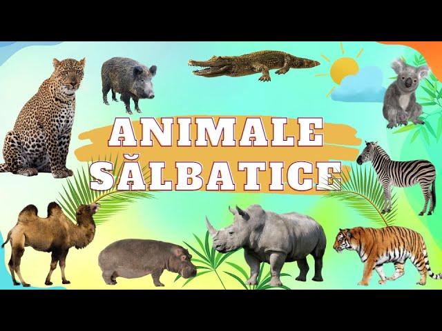 Invata Animalele Salbatice - JOC cu animale