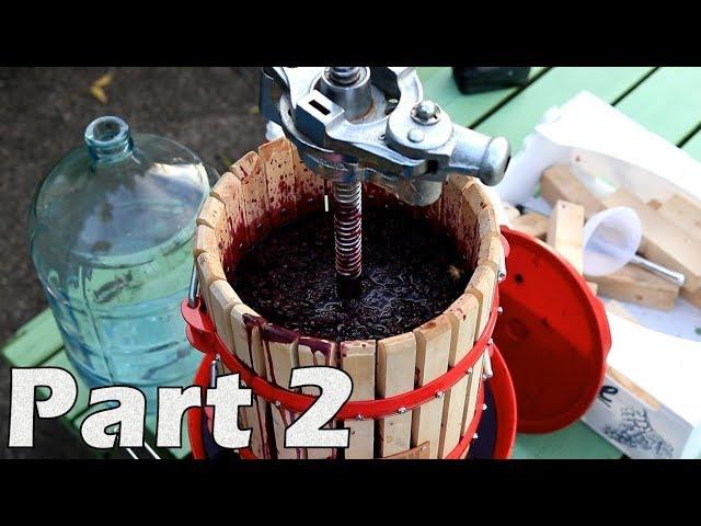 How to Make Red Wine from Grapes - Part 2