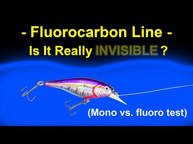 Fluorocarbon vs. Monofilament Lines - Visibility Test Underwater