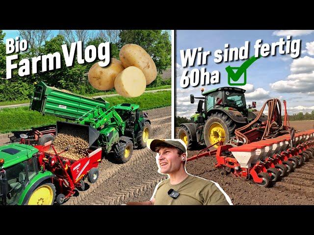 60ha Kartoffeln sind gepflanzt - 6250R drillt Soja - Mais in der Wüste striegeln / Vlog 89