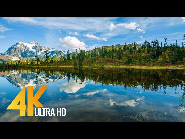 Fall Foliage in North Cascades National Park - Scenic Nature Film in 4K UHD - Part #1