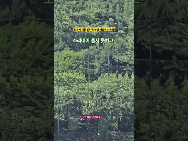 창문에 비친 건너편 산의 바람 부는 풍경                                   이찬원/사나이 눈물