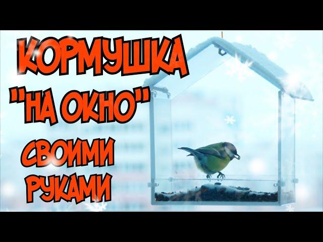 Кормушка своими руками."На окно".