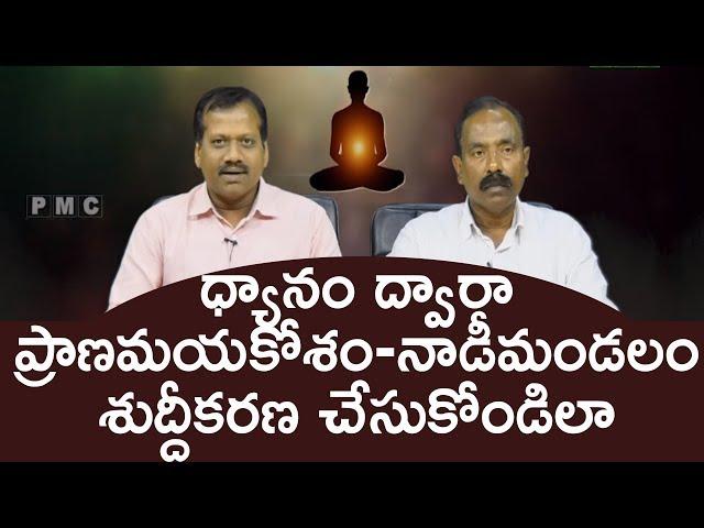 ప్రాణమయకోశం - నాడీమండల శుద్ధి | Live Guided Meditation | PMC Telugu