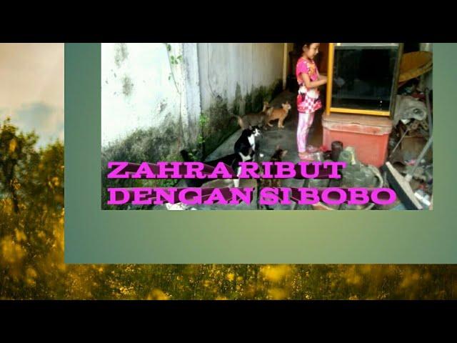 ZAHRA RIBUT DENGAN KUCINGNYA#zahrachannel#kucinglucu#kucing#cat#catvideo#kucingviral#catlover#cats