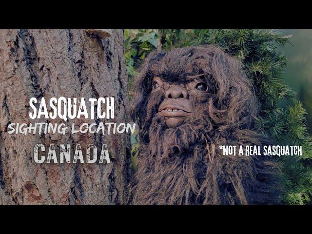 Sasquatch Sighting Location w/ Thomas Steenburg & Nikki Colon