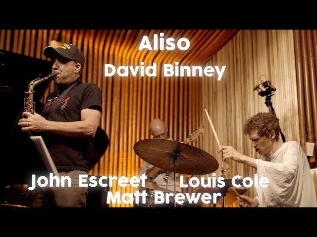 David Binney - Aliso (feat. John Escreet, Louis Cole, Matt Brewer)