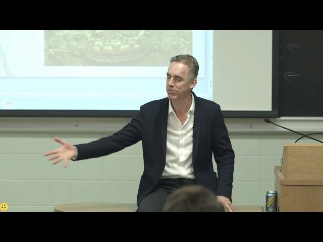 Jordan Peterson - Sort Yourself Out And Make It Manifest In The World