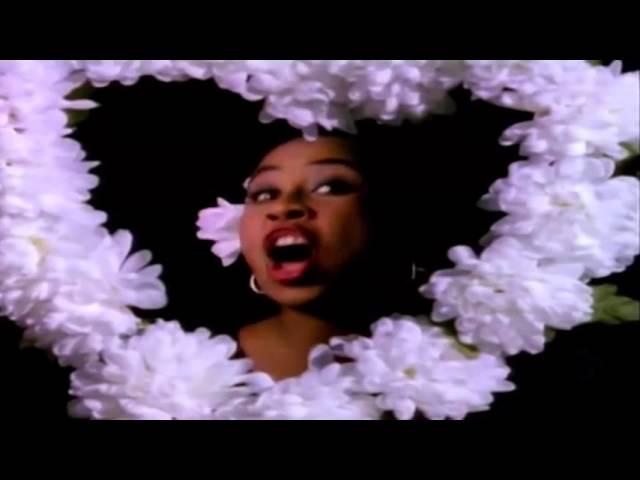 49ers - Don't You Love Me (extended 90's mix) Logo
