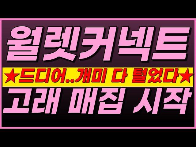 월렛커넥트, [매수 계좌 공개] "큰 거 하나 오겠는데요..?"→️초대형 잭팟 신호 발생️ 뭐냐면요