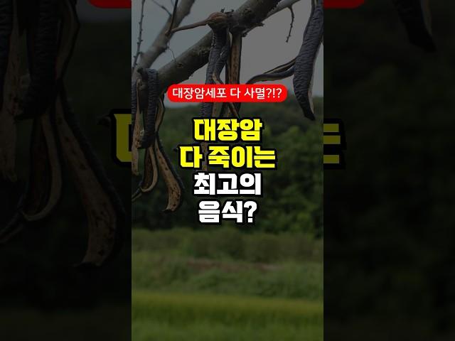 대장암 다 죽이는 최고의 음식? - 항산화 항암에 좋은 음식 먹는 방법 - 50대 중년 이후 필수 건강 관리 방법 주의사항