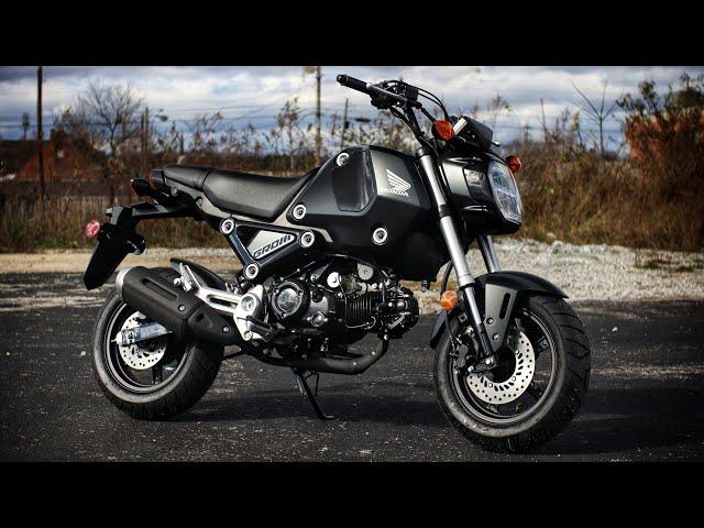 New 2023 Honda Grom 125 Motorcycle / Mini Bike | Walkaround