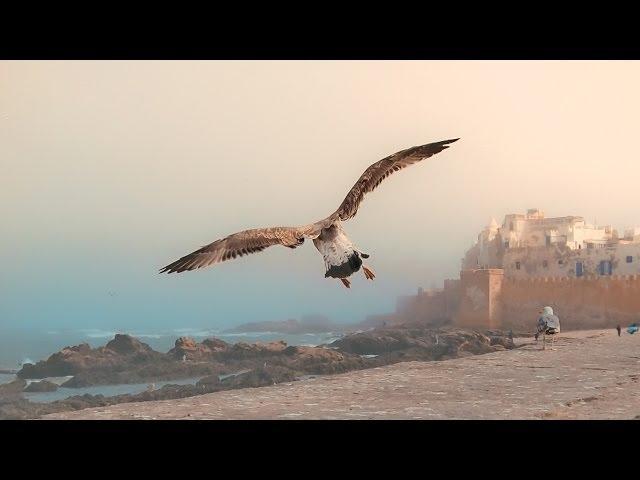 Watchtower of Morocco