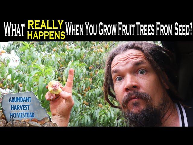 What REALLY HAPPENS When You Grow Fruit Trees From Seed?