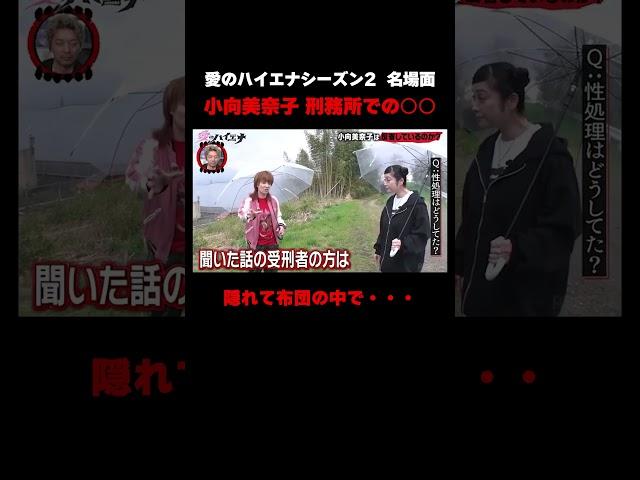 【#愛のハイエナ シーズン4まもなく始動！】小向美奈子が語る 女性の刑務所での"処理”について #ニューヨーク #さらば青春の光 #shorts