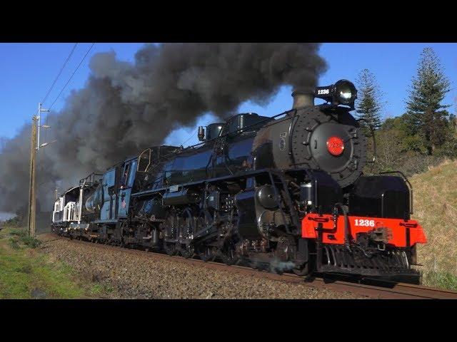 Jb 1236: At Speed to National Park - August 2018 (HD)