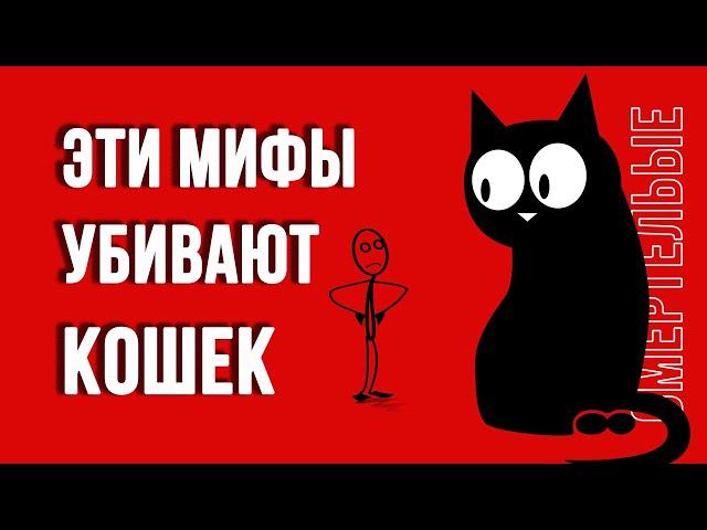 Хотите, чтобы кошки жили дольше 20 лет? Тогда избавьтесь от 7 мифов