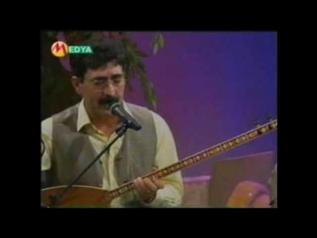xelil xemgin - tu hatî nav şêrîna min