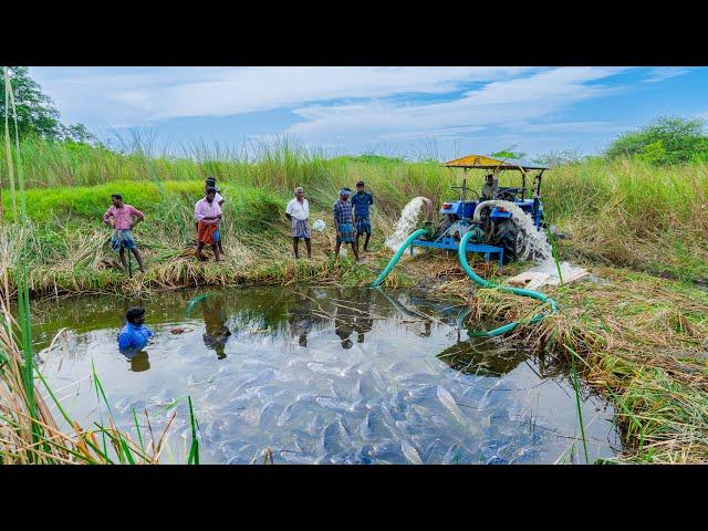 Pond Water Fish Catching and Cooking Fish Gravy in our Village | Country Fishing